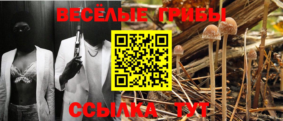 Псилоцибиновые грибы GOLDEN TEACHER  Вход с VPN  Галлюциногенные грибы мухоморы  Бийск 